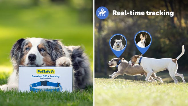 Learn more about the new PetSafe Guardian GPS + Tracking Dog Fence Collar.