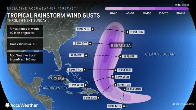 Tropical rainstorm and wind gusts predicted for Potential Tropical Cyclone Five as of Aug. 12, 2024.