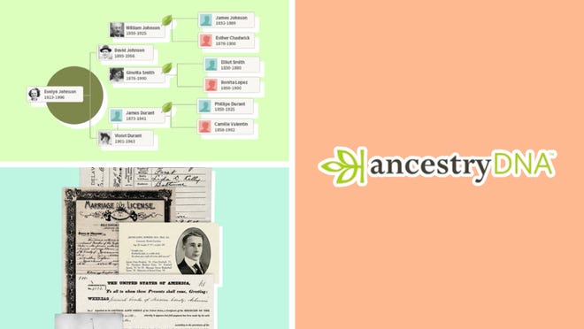 Save up to $60 on AncestryDNA memberships for a limited-time only.